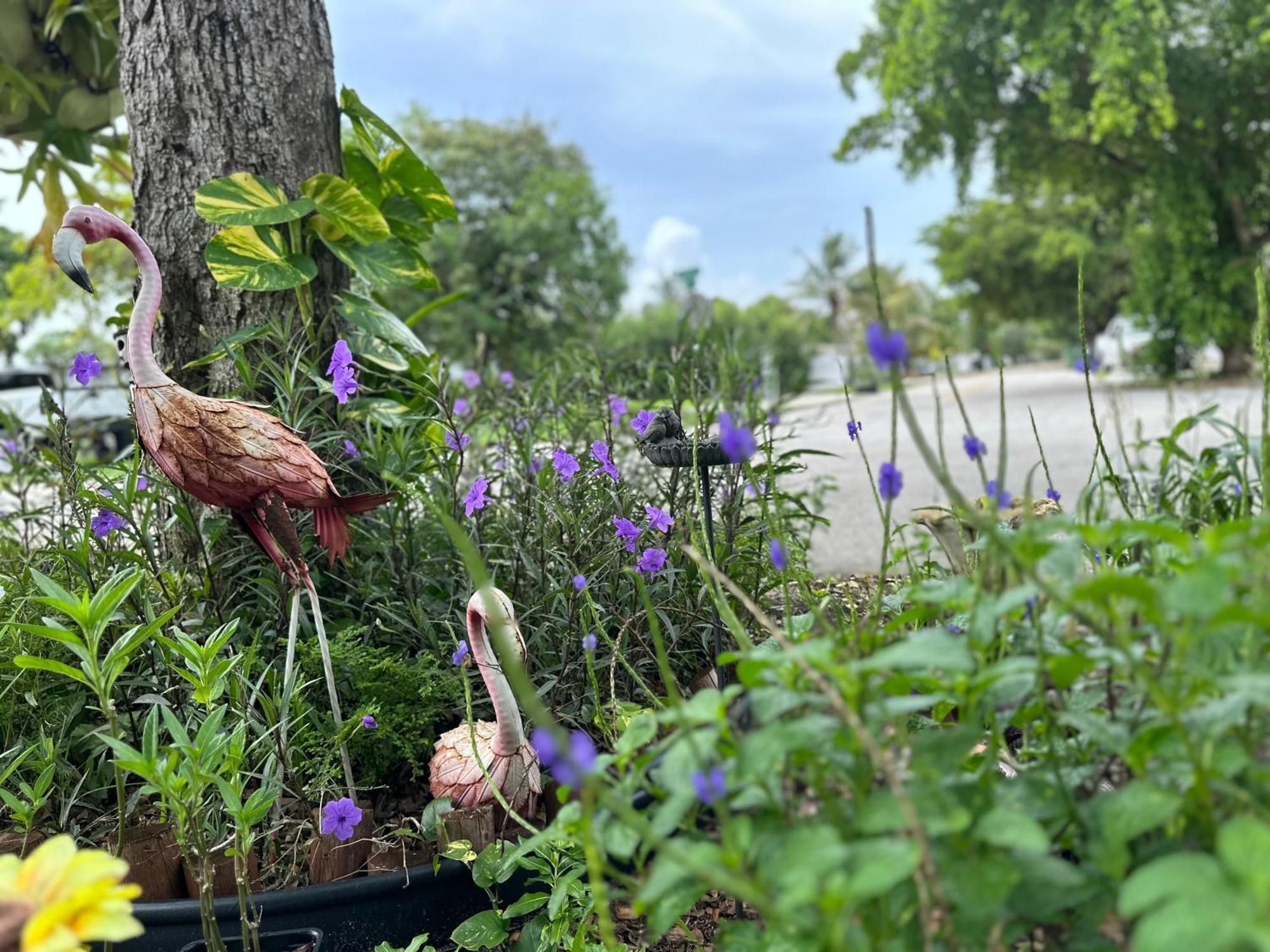 Flora'S Garden Apartment/Studio Норт Маями Екстериор снимка